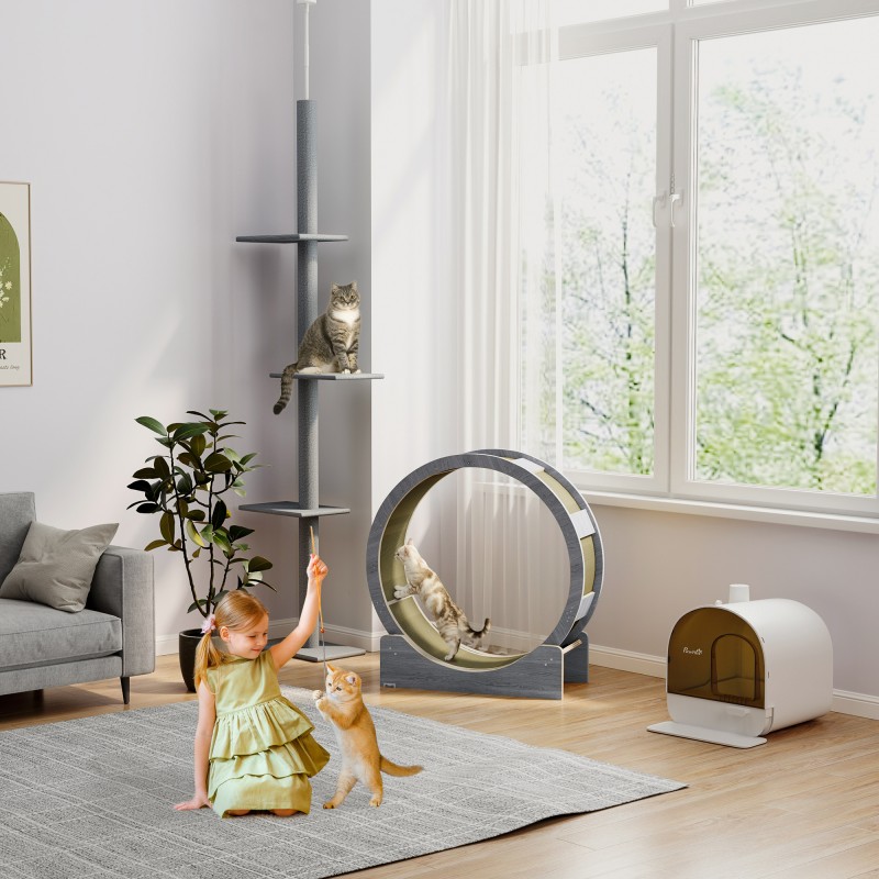 Kissan juoksupyörä sisäkissoille, Ø91 cm, jarrulla ja raapimismatolla, harmaa saksanpähkinä