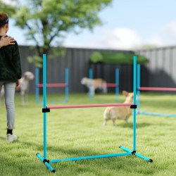Koiran agility-setti 4 osaa, korkeussäädettävä rata, muovi, 99 x 65 x 94 cm, vaaleansininen