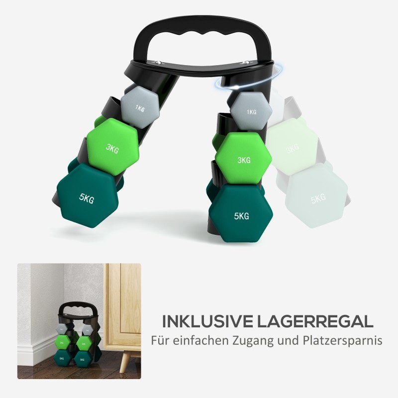 Käsipainosarja telineellä kotitreeniin 6 kpl (2 x 1 kg, 2 x 3 kg, 2 x 5 kg), metalli-muovi, harmaa/vihreä/turkoosi