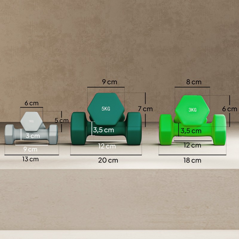 Käsipainosarja telineellä kotitreeniin 6 kpl (2 x 1 kg, 2 x 3 kg, 2 x 5 kg), harmaa/vihreä/turkoosi