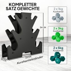 Käsipainosarja telineellä kotitreeniin 6 kpl (2 x 1 kg, 2 x 3 kg, 2 x 5 kg), harmaa/vihreä/turkoosi