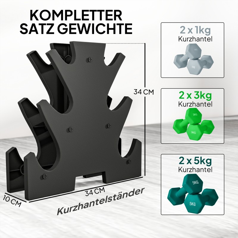 Käsipainosarja telineellä kotitreeniin 6 kpl (2 x 1 kg, 2 x 3 kg, 2 x 5 kg), harmaa/vihreä/turkoosi