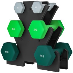 Käsipainosarja telineellä kotitreeniin 6 kpl (2 x 1 kg, 2 x 3 kg, 2 x 5 kg), harmaa/vihreä/turkoosi