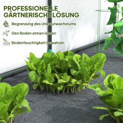 Seinustakasvihuone muovi ja teräs 300 x 80 x 157 cm valkoinen