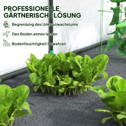 Seinää vasten asennettava kasvihuone muovipeitteellä 200 x 80 x 157 cm valkoinen