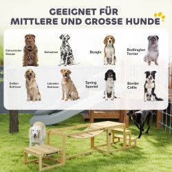 Koirien agility-setti suurille koirille, kuusipuuta, silta, porras ja lepoalusta, enintään 40 kg