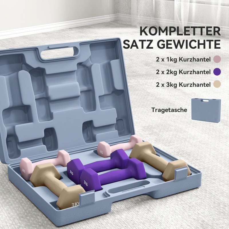 Käsipainosetti terästä 6 kpl (2x1 kg, 2x2 kg, 2x3 kg) kantolaukulla, rosa/violetti/kahvi