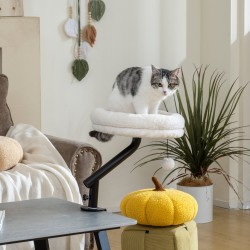 Kissan pöytään kiinnitettävä peti, 360° kääntyvä ja korkeussäädettävä, Ø35 cm, enint. 6 kg, cremevalkoinen