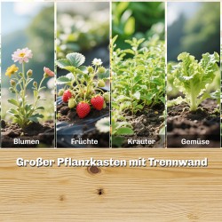 Puinen viljelylaatikko ritilällä, 2 laatikkoa ja 3 köynnösritilää, avoin pohja, 240 x 125 x 102 cm, luonnonpuu