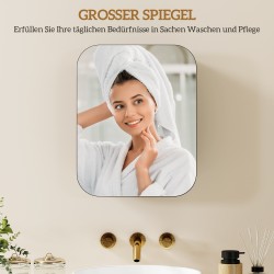 Kylpyhuoneen peilikaappi seinään, lastulevy ja lasi, säädettävät hyllyt, 40 x 10 x 51 cm, musta