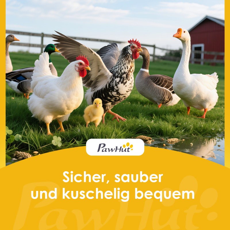 Kanala kanoille puinen ulkokäyttöön, vesitiivis katto, nukkumaorsi ja ulkotarha, 204 x 85 x 93 cm, luonnonpuu