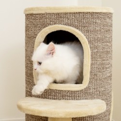 Kissatorni ja raapimispuu 2 tasolla, sisalpinta, Ø59 cm, beige-ruskea