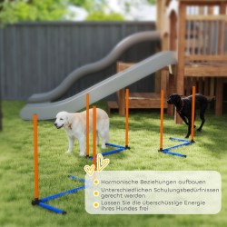 Koiran agilitysetti 3-osainen, PE ja Oxford, sisä- ja ulkokäyttöön, oranssi/sininen/musta