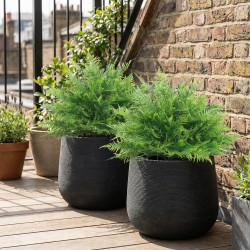 Tekokasvi bostoninsaniainen ulkokäyttöön, UV-suojattu, 60 cm, 2 kpl, vihreä