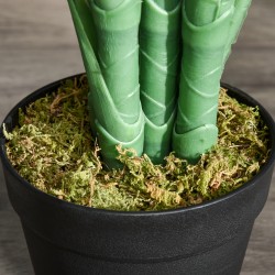 Tekopalmu 125 cm vihreä koristekasvi 18 palmunlehteä ruukussa sisä- ja parvekekäyttöön