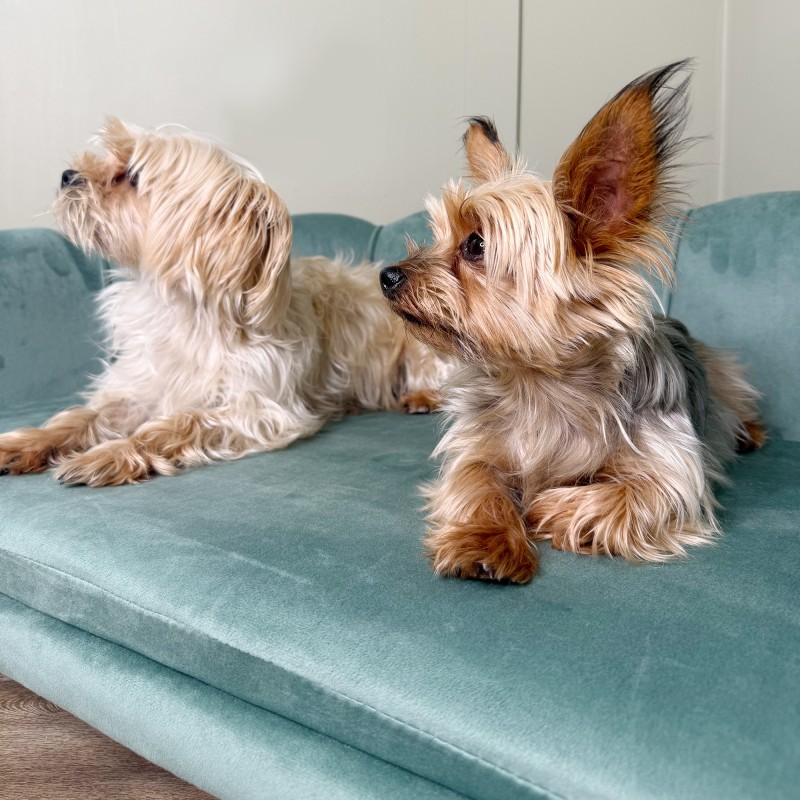 Koiransohva keskikokoisille ja suurille koirille, puurunko, pehmustettu, 98,5×60,5 cm, vihreä