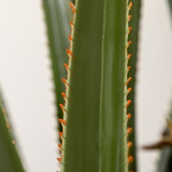 Tekokasvi yucca ruukussa 190 cm, PEVA-muovi, smaragdinvihreä