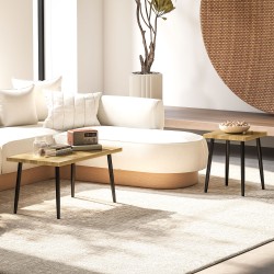 Sohvapöytäsarja 2 osaa, MDF ja metallirunko, luonnonpuun sävy, 90x50x45 cm ja 40x40x50 cm