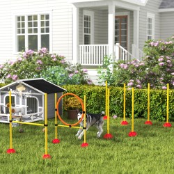 Koirien agilitysetti 3-osainen, täytettävät jalustat, hyppyrengas, hyppyeste ja pujottelutolpat, keltainen/oranssi