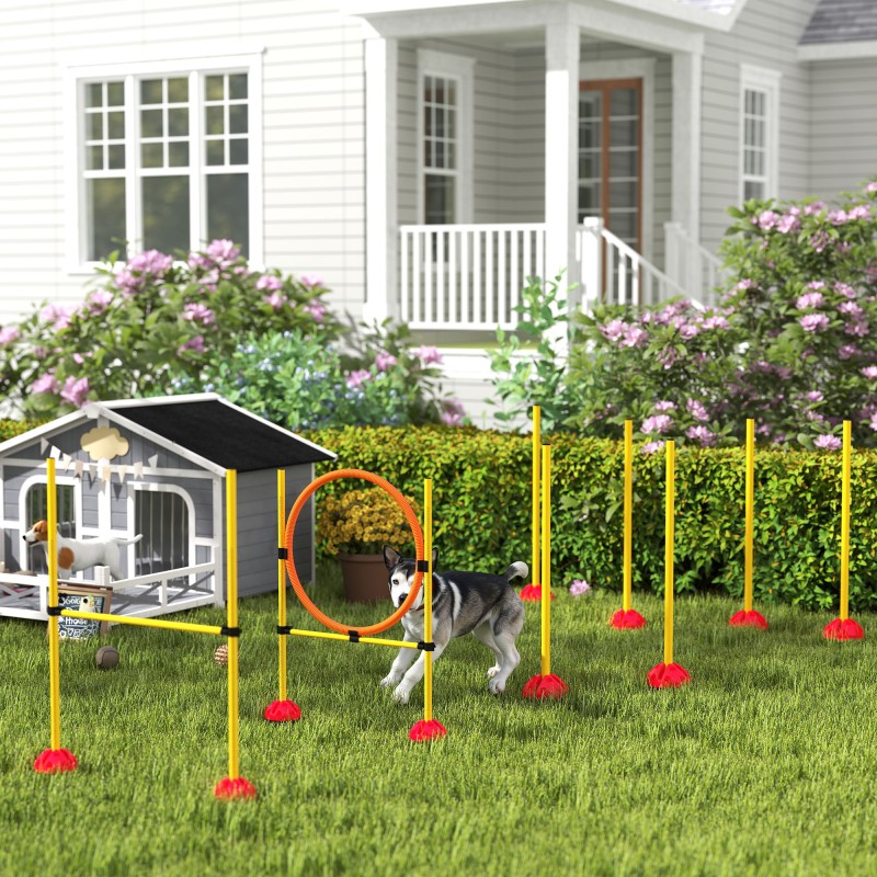 Koirien agilitysetti 3-osainen, täytettävät jalustat, hyppyrengas, hyppyeste ja pujottelutolpat, keltainen/oranssi