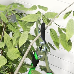 Pensasleikkuri ja oksaleikkuri setti 2-osainen, teleskooppivarret, metalli/muovi, vihreä-musta