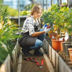 Puutarhaleikkurisetti 3-osainen, pensassakset oksaleikkuri käsisakset, terästerät, punainen/musta