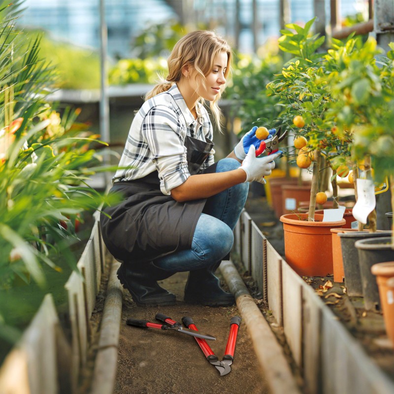 Puutarhaleikkurisetti 3-osainen, pensassakset oksaleikkuri käsisakset, terästerät, punainen/musta