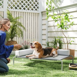 Korotettu koiran ulkosänky keskikokoisille koirille, verkkokangas, 110 x 75 x 30 cm, vaaleanharmaa