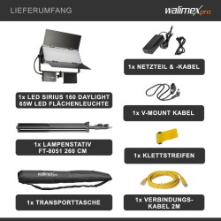 Walimex pro Sirius 160 Daylight LED-paneelivalosetti, 65 W, 5600 K, jalusta 260 cm