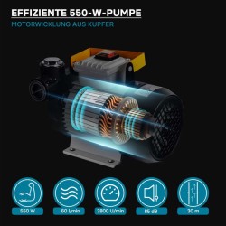 Diesel- ja lämmitysöljypumppu 230V 550W 60 l/min, itseimevä, automaattinen pistoli