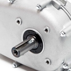 Öljykylpykytkin Q2 Lifan 5 6 5 hv bensiinimoottoreille 20 mm GX140 GX160 GX200 168 sarja