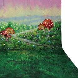 Walimex pro Alice 2-in-1 valokuvaustausta 3 x 6 m, puuvilla 140 g/m², käsinmaalattu