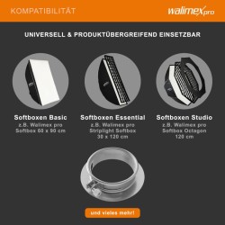 Walimex Valonmuokkaimen adapteri Profoto salamoille 152 x 152 x 40 mm metalli
