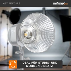 Walimex pro varasalamoputki Newcomer 300/VT-300, 300 W, 5400–5800 K