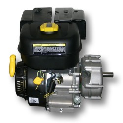 LIFAN 168 bensiinimoottori 4,8 kW 6,5 PS 196 cm³ öljykylpykytkin 2:1 alennusvaihteisto karting-moottori