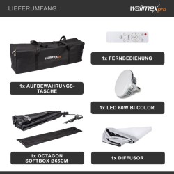 Walimex pro Octagon softbox studiovalaistussetti 60 W Bi Color LED 65 cm 3000 6000 K kaukosäädin