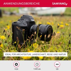 Samyang MF 24mm T1,5 VDSLR MK2 MFT laajakulmainen videolinssi