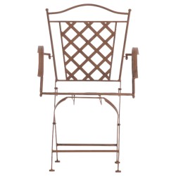 Antiikkiset Adara-puutarhatuolit raudasta, 2 kpl, käsityönä valmistetut