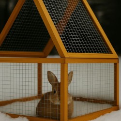 Puinen ulkoaitaus kaniineille ja marsuille 1000 x 1000 x 450 mm ruskea