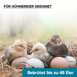 Automaattinen haudontakone 48 munaa, täisautomaattinen kääntö, lämpötila- ja kosteuden säätö, keltainen