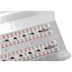 hillvert HT-WEDGE-100AP LED-kasvilamppu 100 W täysikirjollinen 6 000 lm