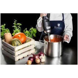 Royal Catering RCSM-500-300P sauvasekoitin 500 W 300 mm