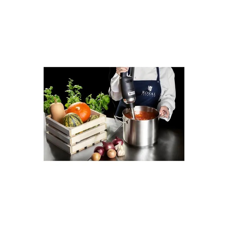 Royal Catering RCSM-500-300P sauvasekoitin 500 W 300 mm