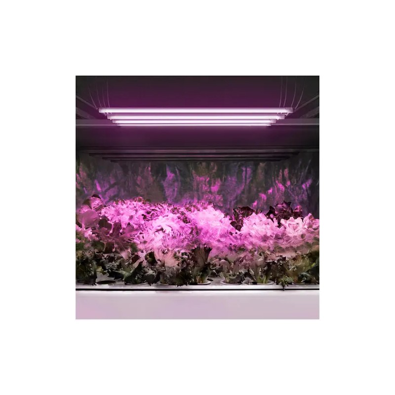 LED-kasvilamppusetti 4 kpl, 20 W, 1600 lm, punainen ja sininen valo
