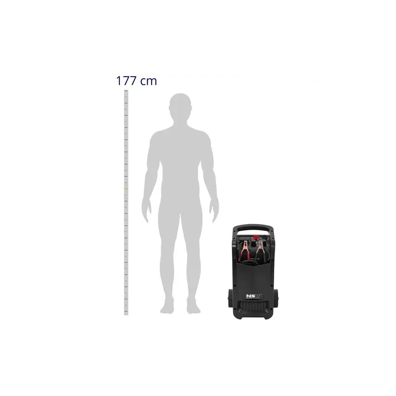 Auton akkulaturi ja käynnistysavustaja 12/24 V 100 A