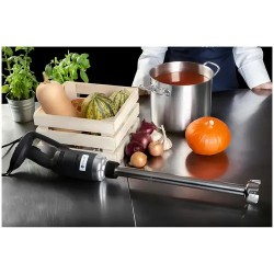 Royal Catering sauvamikseri 500 W 500 mm säädettävä nopeus