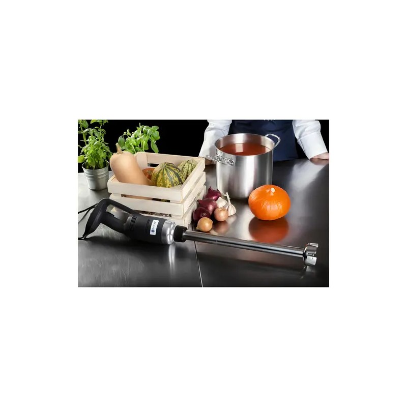 Royal Catering sauvamikseri 500 W 500 mm säädettävä nopeus