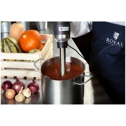 Royal Catering sauvamikseri 500 W 500 mm säädettävä nopeus