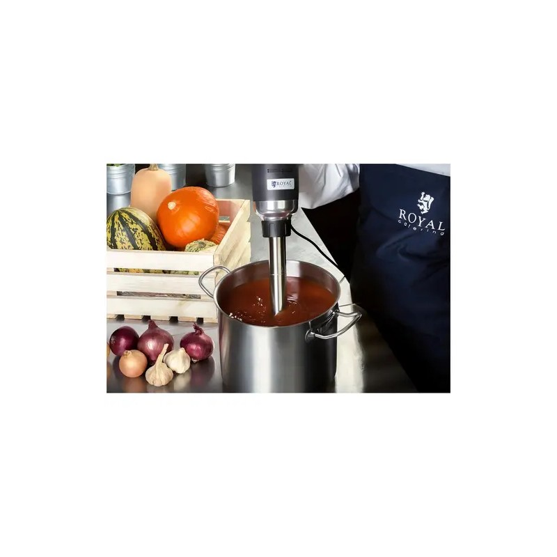 Royal Catering sauvamikseri 500 W 500 mm säädettävä nopeus