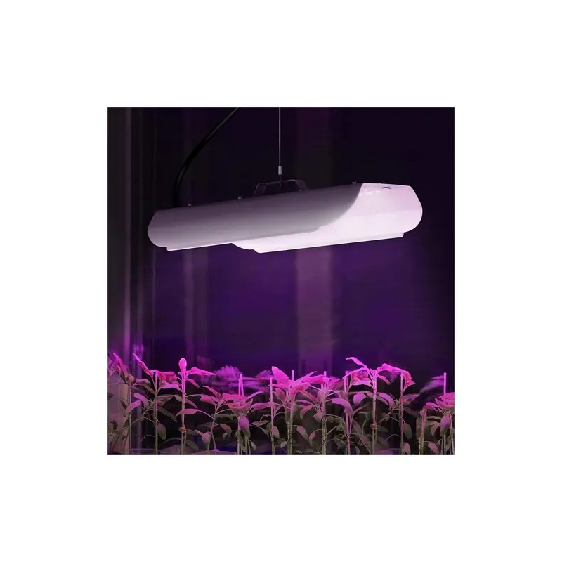 LED-kasvivalaisin HT-WEDGE-100A, täysi spektri, 100 W, 136 LEDiä, 6.000 lumenia